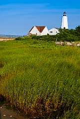 Beachgrass by Lynde Point Lighthouse in Harbor Low Tide